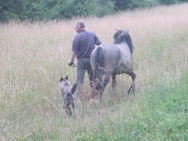 Har juli 2014 002