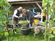 Son okt 2013 041