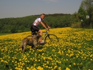 Fiets Cottessen Harrie en Joep