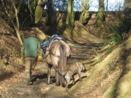 2014april Lucas, Harrie en Joep Cott.