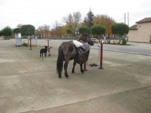 Fitnessapparaten midden in dorp
