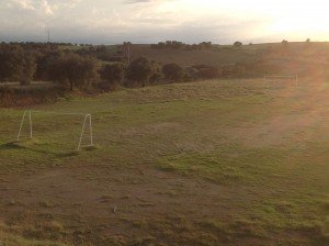 Voetbalwei for horses or horse pasture with goals? 