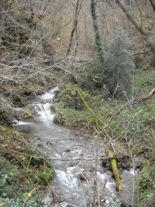 Weer een waterfoto van Jan