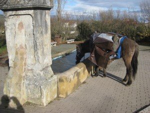Villambistia centrum, met drinkbak