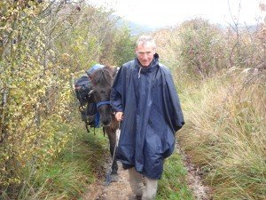 Een paard en een ezel onderweg