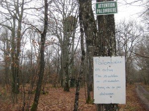Duivenhok hoog in de bomen voor de jacht.