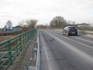 traffic hazard with horse and dog