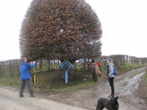 De bekende haagbeuk bij Trintelen met Ruud en Marjan