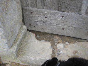 Ratten- of marterhol onder kerkdeur, incl.. veertjes. Waarschijnlijk beschermd