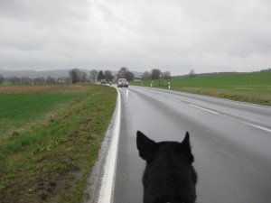 Unpleasant walking without a sidewalk. Fortunately, no horse with me