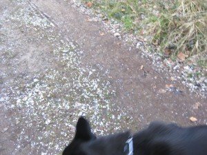 Alle weertypen: hagel, regen, zon. Maart roert zijn staart