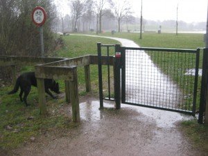 Noordelijk van Beek-Achterhoek. Onmogelijk met pony