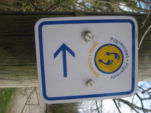 Deze wilgenkatjes moeten nog uitlopen. Bij ons al in febr.!