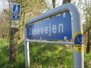 De Ossenweg, ook Haerweg genoemd, is goed aangegeven