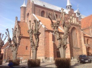 De Dom van Haderslev