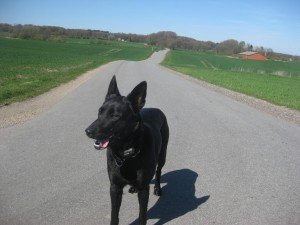 Rustige weggetjes door glooiend landschap