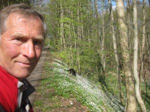 Nog steeds hele bermen/bossen vol bosanemoontjes