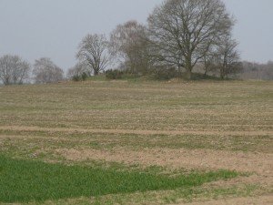 Begroeide grafheuvels uit bronstijd? aan horizon