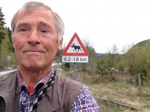 Veel elanden bijna gezien. Steeds net niet