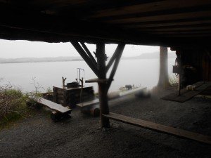 Tosca speelt in de regen in het meer